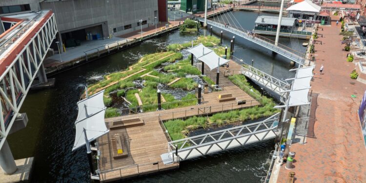 After months of construction, the Harbor Wetland exhibit is complete. | August 1, 2024