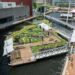 After months of construction, the Harbor Wetland exhibit is complete. | August 1, 2024